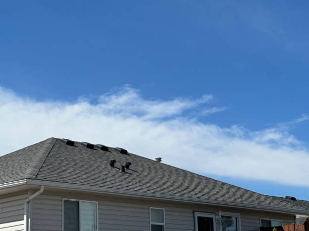  Woodville, WI Roof Repair & Installaion Pros